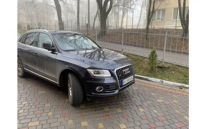 Audi Q5 2013 №52699 купить в Тернополь - 2