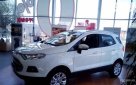 Ford EcoSport 2016 №9564 купить в Днепропетровск - 6