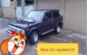 ВАЗ Niva 2121 2003 №24128 купить в Купянск