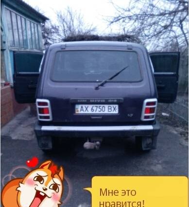 ВАЗ Niva 2121 2003 №24128 купить в Купянск - 6