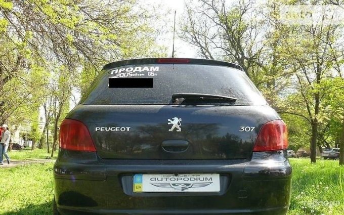 Peugeot 307 2005 №2268 купить в Николаев - 8