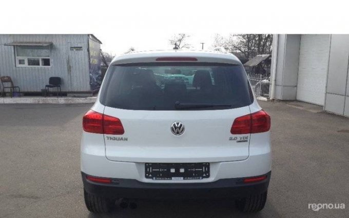 Volkswagen  Tiguan 2014 №2983 купить в Кривой Рог - 2