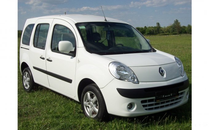 Renault Kangoo 2010 №29420 купить в Бердичев - 1
