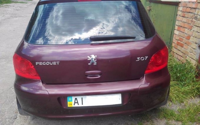 Peugeot 307 2006 №33760 купить в Киев - 6
