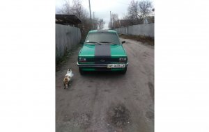 Ford Fiesta 1981 №35364 купить в Кременчуг