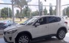 Mazda CX-5 2014 №3615 купить в Днепропетровск - 1