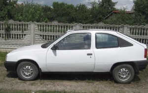 Opel Kadett 1988 №40224 купить в Бердичев