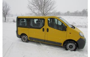 Opel Vivaro 2004 №40876 купить в Ивано-Франковск