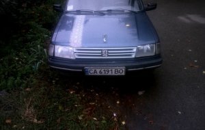 Peugeot 307 1988 №44671 купить в Корсунь-Шевченковский