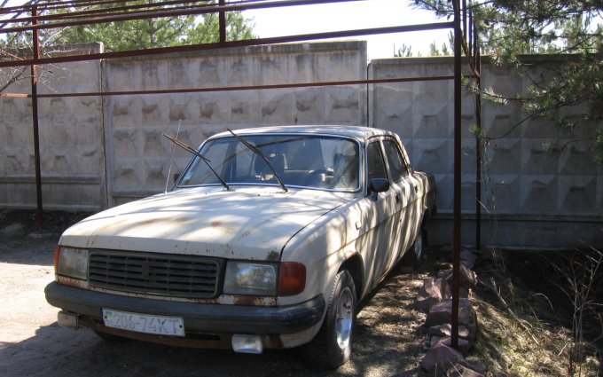 ГАЗ 31029 1993 №48288 купить в Киев - 1