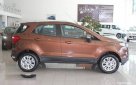 Ford EcoSport 2015 №48869 купить в Запорожье - 2