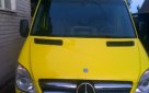 Mercedes-Benz Sprinter 2012 №70773 купить в Геническ - 1