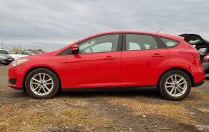 Ford Focus 2017 №73232 купить в Одесса